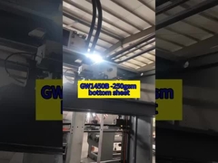 GW1450B - 250 gm dołu